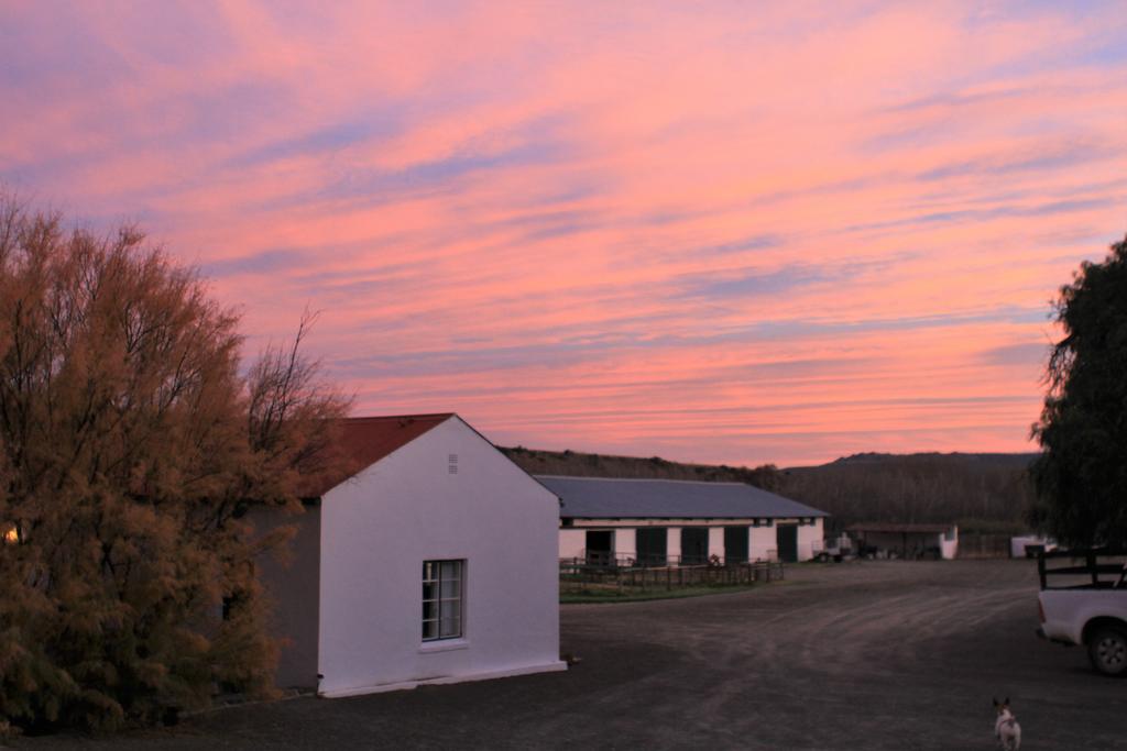 Ganora Guest Farm, Camping And Excursions Nieu-Bethesda Exterior foto