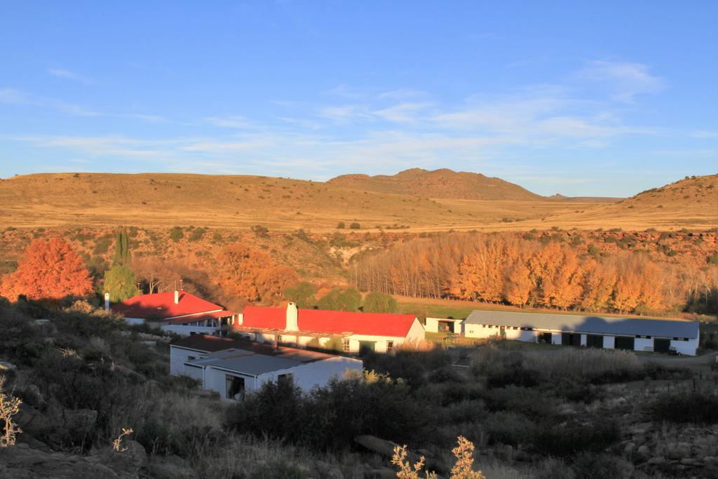 Ganora Guest Farm, Camping And Excursions Nieu-Bethesda Exterior foto